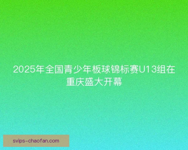 2025年全国青少年板球锦标赛U13组在重庆盛大开幕 2025年全国青少年板球锦标赛U13组在重庆盛大开幕